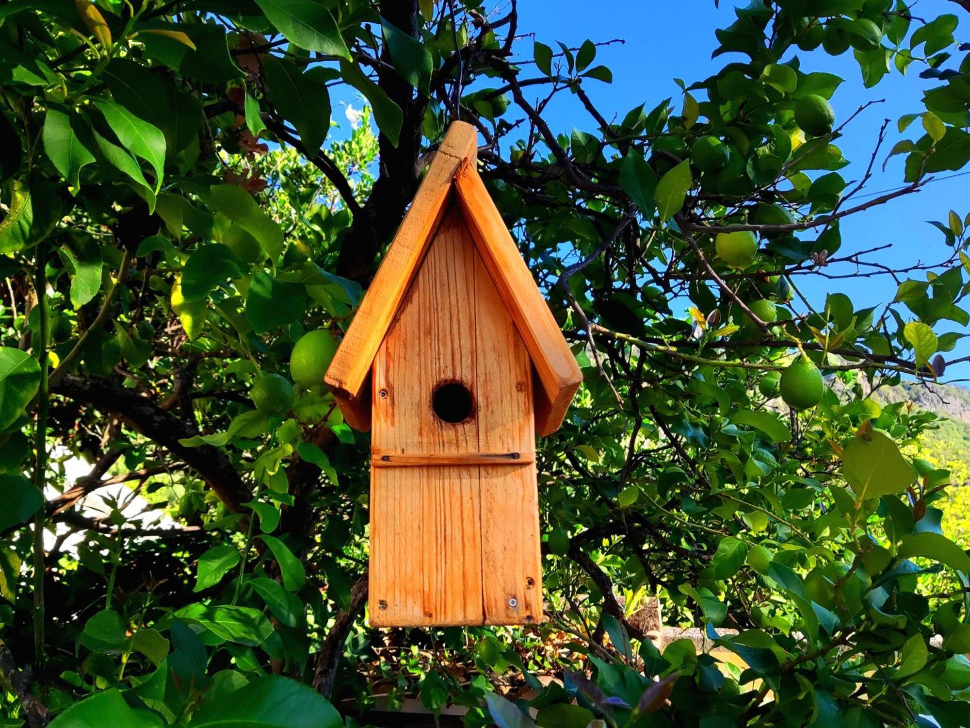 La Casa Del Naturalista 엘보스크 외부 사진